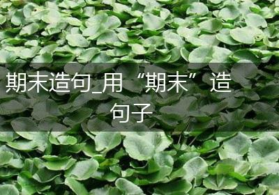 期末造句_用“期末”造句子