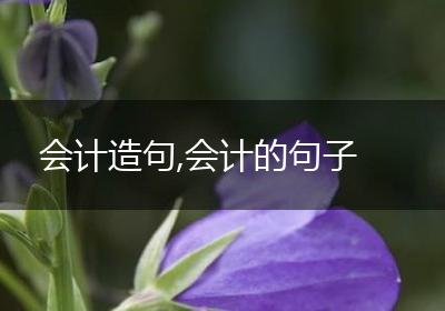 会计造句,会计的句子