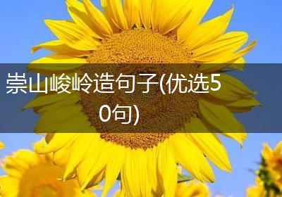 崇山峻岭造句子(优选50句)