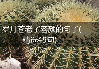 岁月苍老了容颜的句子(精选49句)