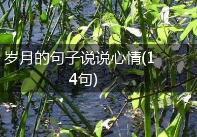 岁月的句子说说心情(14句)