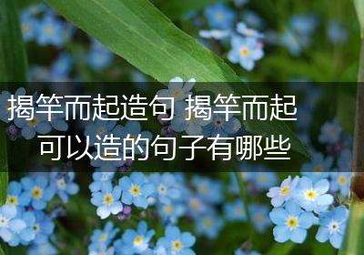 揭竿而起造句 揭竿而起可以造的句子有哪些