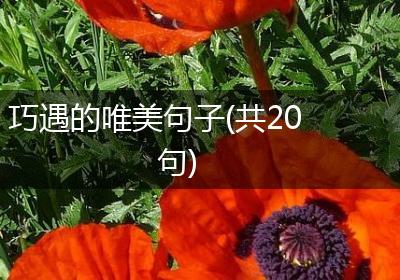 巧遇的唯美句子(共20句)