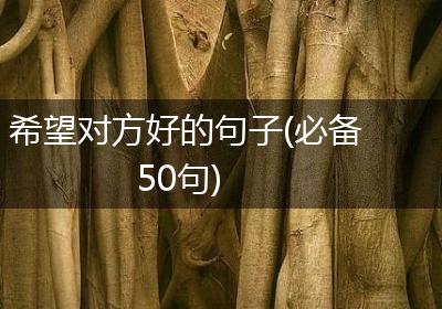 希望对方好的句子(必备50句)