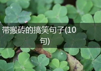带搬砖的搞笑句子(10句)