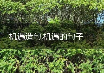 机遇造句,机遇的句子