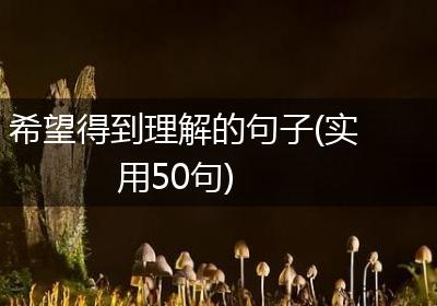 希望得到理解的句子(实用50句)