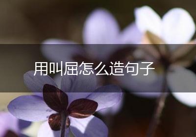 用叫屈怎么造句子