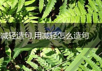 减轻造句,用减轻怎么造句