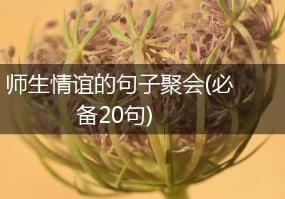 师生情谊的句子聚会(必备20句)