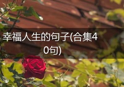 幸福人生的句子(合集40句)