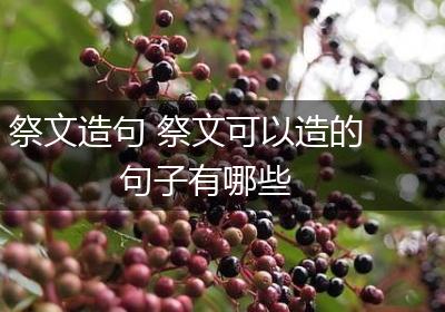 祭文造句 祭文可以造的句子有哪些