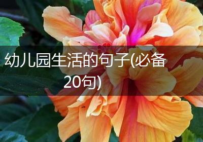 幼儿园生活的句子(必备20句)