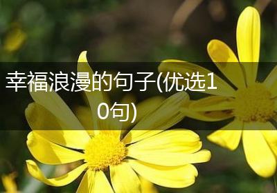 幸福浪漫的句子(优选10句)