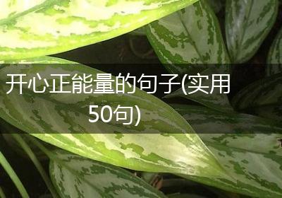 开心正能量的句子(实用50句)
