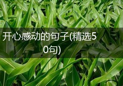 开心感动的句子(精选50句)