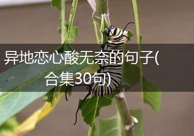 异地恋心酸无奈的句子(合集30句)