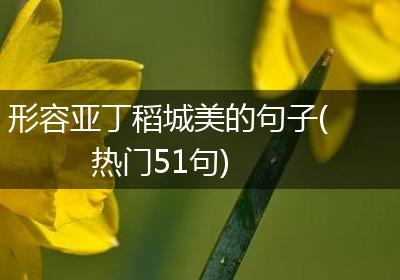 形容亚丁稻城美的句子(热门51句)