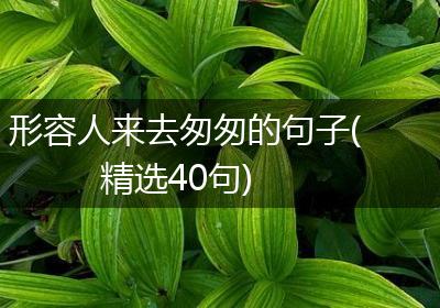形容人来去匆匆的句子(精选40句)