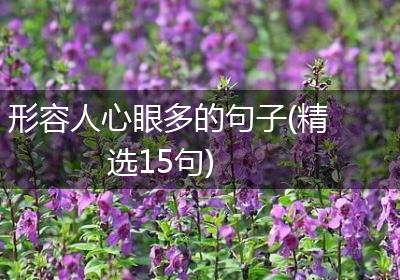 形容人心眼多的句子(精选15句)