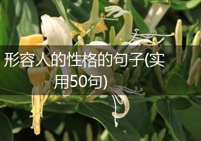 形容人的性格的句子(实用50句)