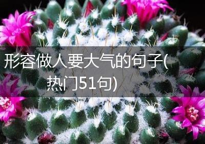 形容做人要大气的句子(热门51句)