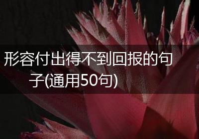 形容付出得不到回报的句子(通用50句)