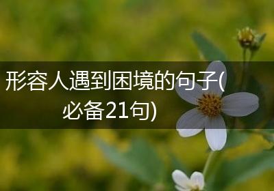 形容人遇到困境的句子(必备21句)