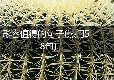 形容值得的句子(热门58句)