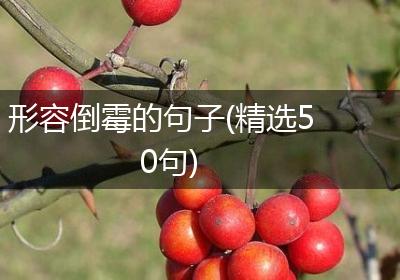 形容倒霉的句子(精选50句)