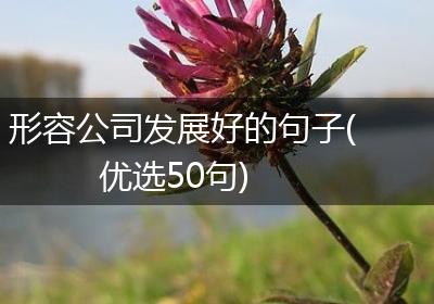 形容公司发展好的句子(优选50句)