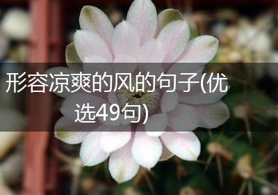 形容凉爽的风的句子(优选49句)