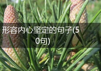 形容内心坚定的句子(50句)