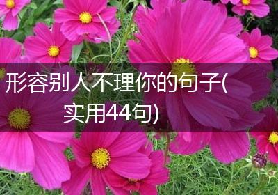 形容别人不理你的句子(实用44句)