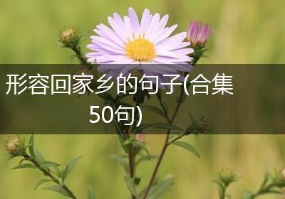 形容回家乡的句子(合集50句)