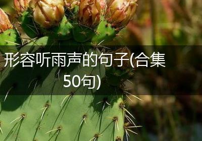 形容听雨声的句子(合集50句)