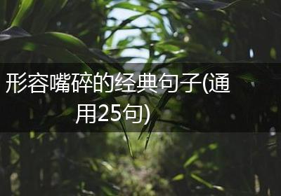 形容嘴碎的经典句子(通用25句)