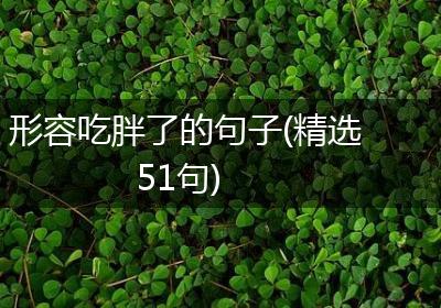形容吃胖了的句子(精选51句)