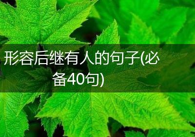形容后继有人的句子(必备40句)
