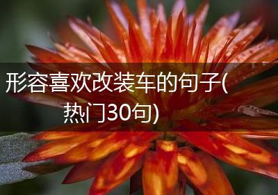 形容喜欢改装车的句子(热门30句)