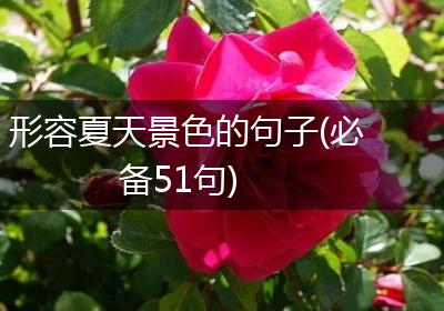 形容夏天景色的句子(必备51句)