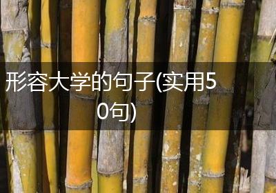 形容大学的句子(实用50句)