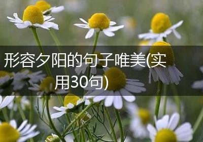 形容夕阳的句子唯美(实用30句)