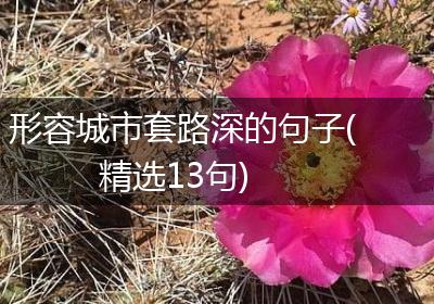 形容城市套路深的句子(精选13句)