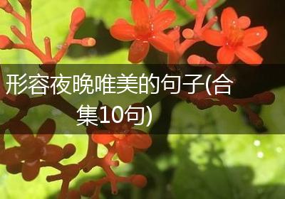 形容夜晚唯美的句子(合集10句)