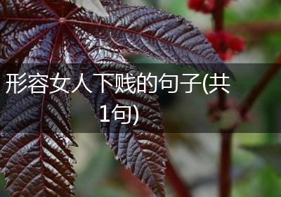形容女人下贱的句子(共1句)
