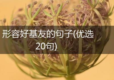 形容好基友的句子(优选20句)