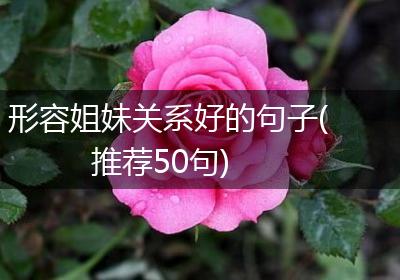 形容姐妹关系好的句子(推荐50句)