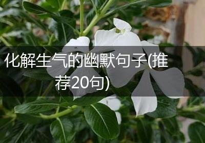 化解生气的幽默句子(推荐20句)
