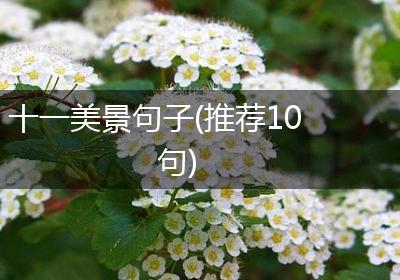 十一美景句子(推荐10句)
